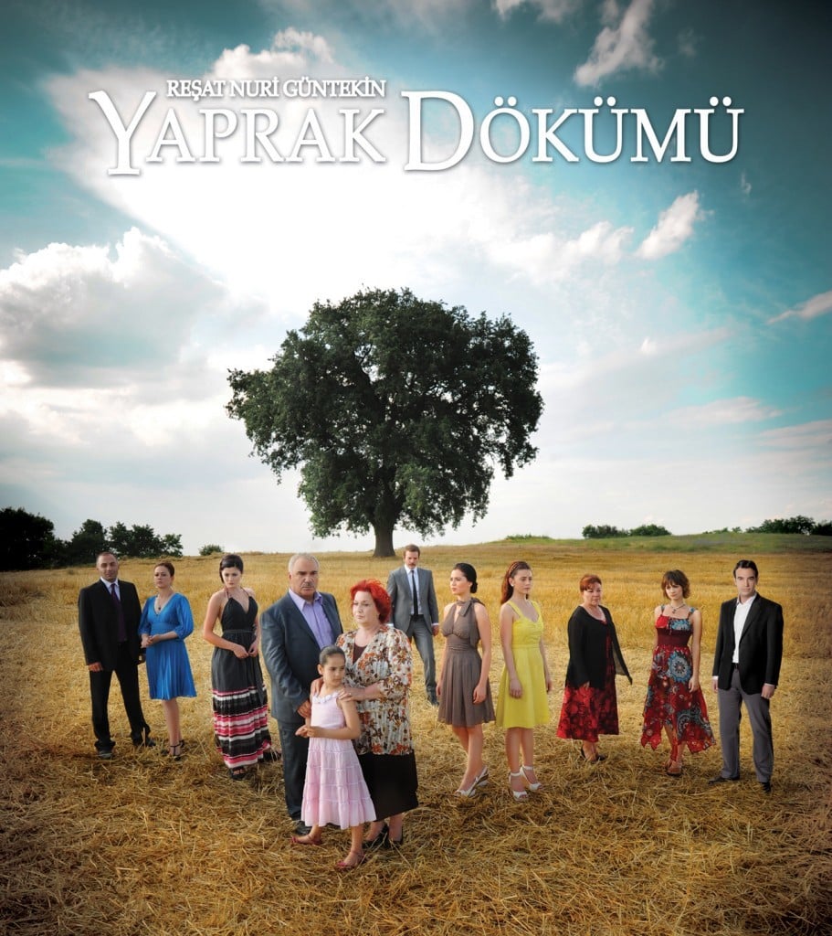 The Fall of Leaves (Yaprak Dokumu) Turkish Drama