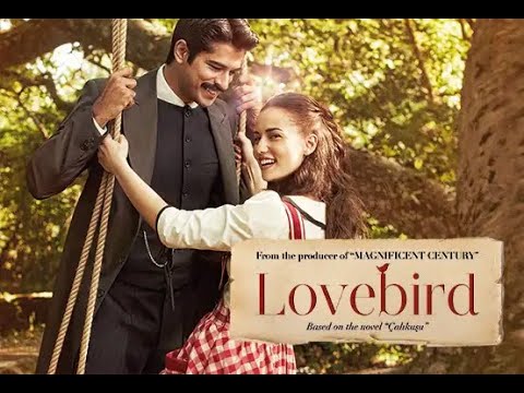 Lovebird (Calikusu - Wren) Turkish Series Trailer (Eng Sub)