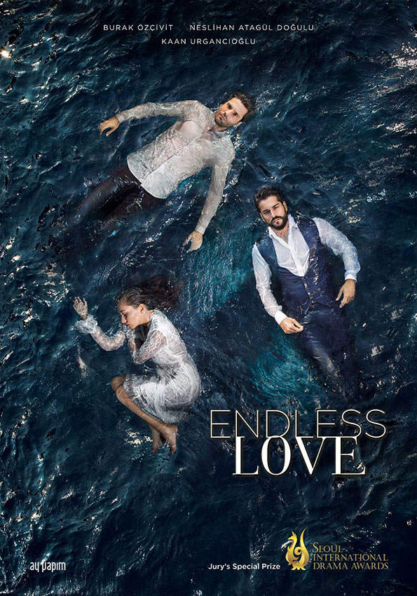 Endless Love 2022 Poster