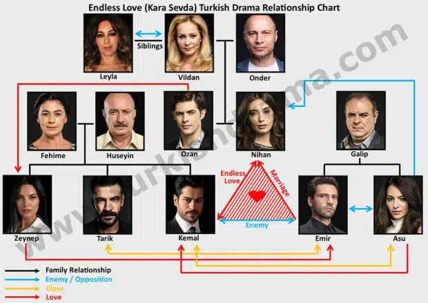 Endless Love - Blind Love (Kara Sevda) Turkish Drama Relationship Chart