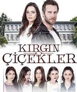 Orphan Flowers - Hurt Flowers - Kirgin Cicekler