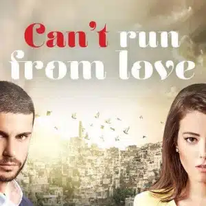 Can’t Run From Love wide poster