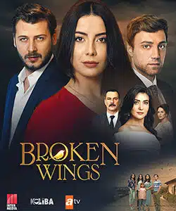 Broken Wings (Kanatsiz Kuslar - Wingless Birds) Tv Series Poster