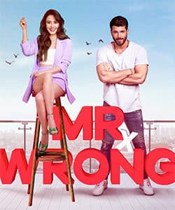 Mr. Wrong (Bay Yanlis) Tv Series