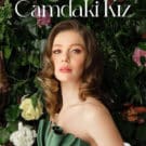Chrysalis (Camdaki Kiz) Tv Series Poster